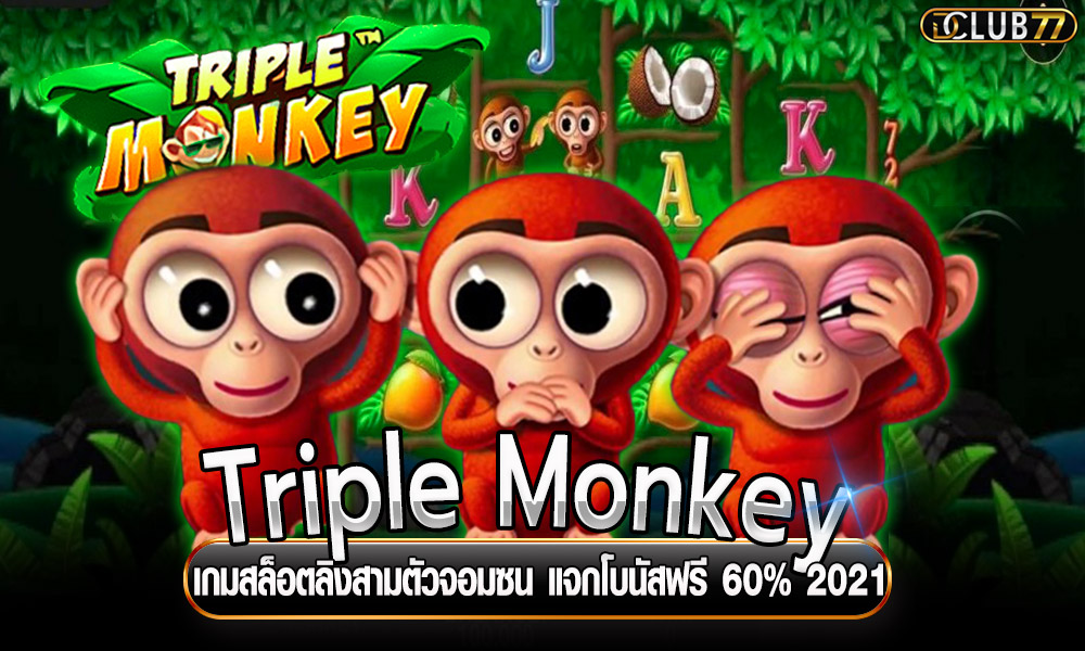 Triple Monkey เกมสล็อตลิงสามตัวจอมซน แจกโบนัสฟรี 60% 2021